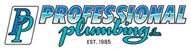 Professional Plumbing