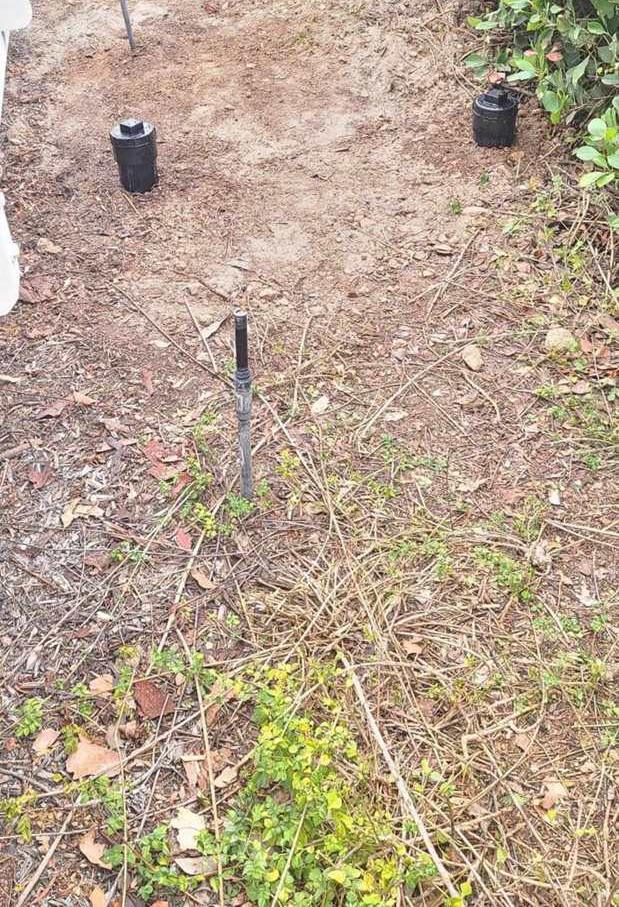 Root intrusion in a yard drain during an Irvine drainage service call