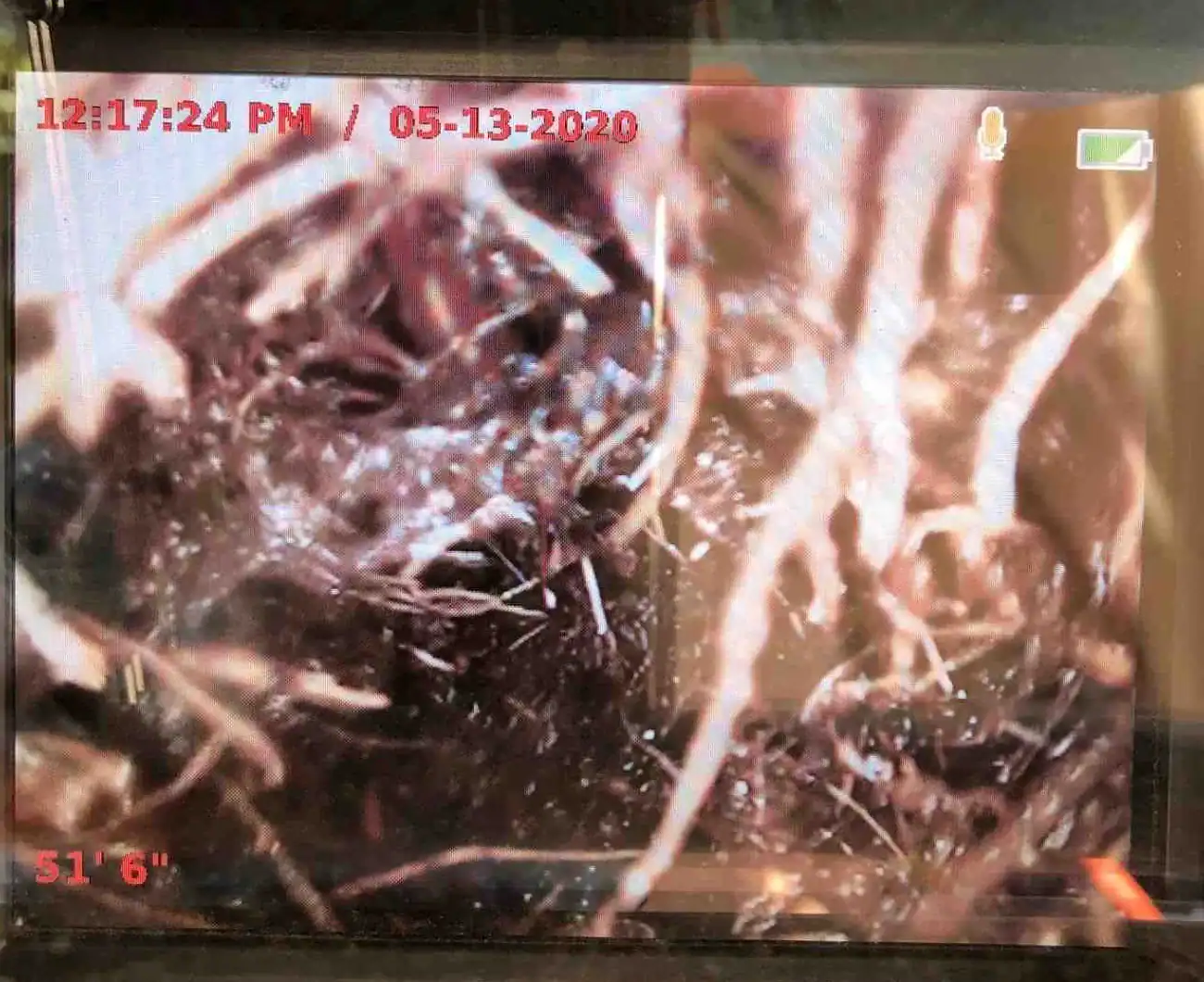 Tree roots filling a Huntington Beach sewer line at 51 feet, seen on our sewer camera